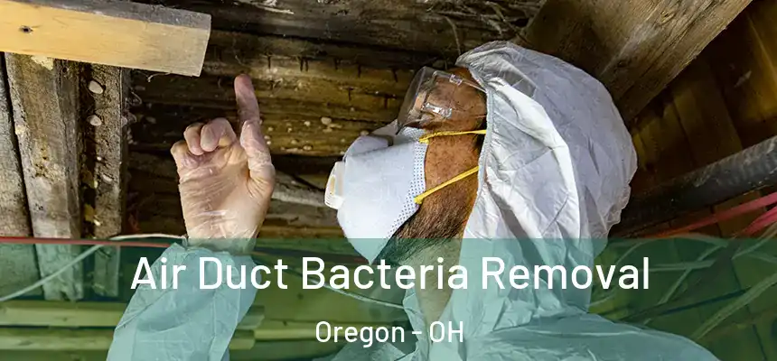 Air Duct Bacteria Removal Oregon - OH