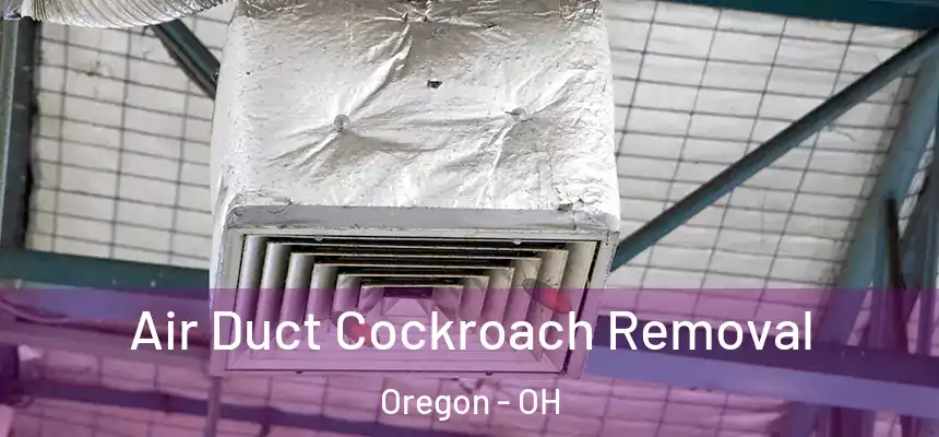  Air Duct Cockroach Removal Oregon - OH