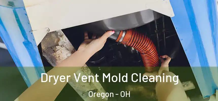 Dryer Vent Mold Cleaning Oregon - OH