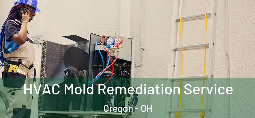  HVAC Mold Remediation Service Oregon - OH