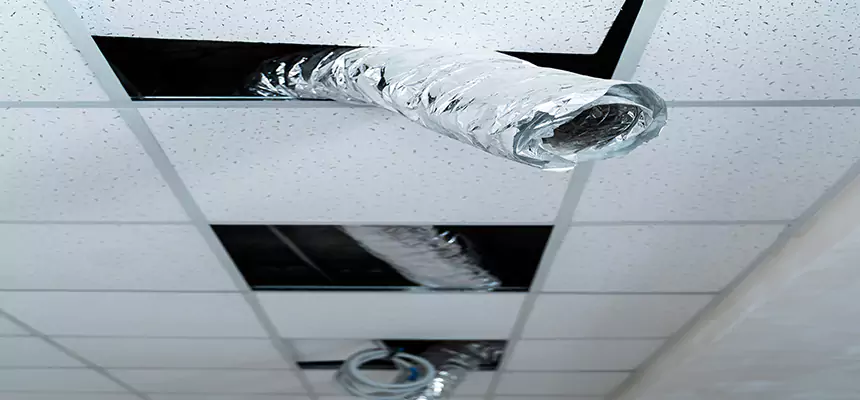 Our Air Duct Pet Hair Removal Services in Oregon, OH