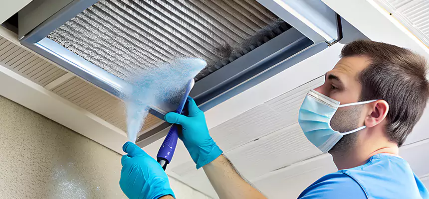 Proactive Dryer Vent & Auxiliary Duct Pollen Cleanup in Oregon, OH