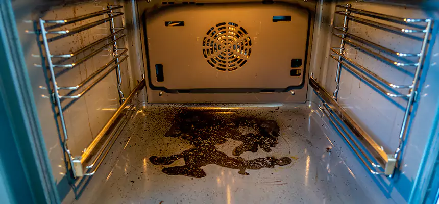 Our Dryer Vent Mold Cleaning Services in Oregon, OH