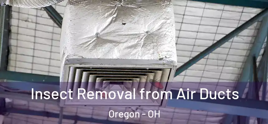  Insect Removal from Air Ducts Oregon - OH