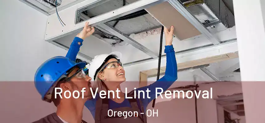 Roof Vent Lint Removal Oregon - OH