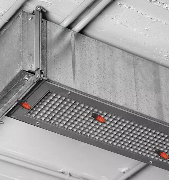 About Air Duct Cockroach Removal in Oregon, OH