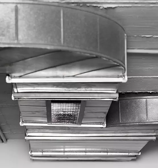 Professional Air Duct Pet Hair Removal in Oregon, OH