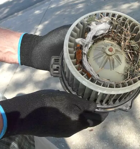 About Air Duct Rat Removal in Oregon, OH