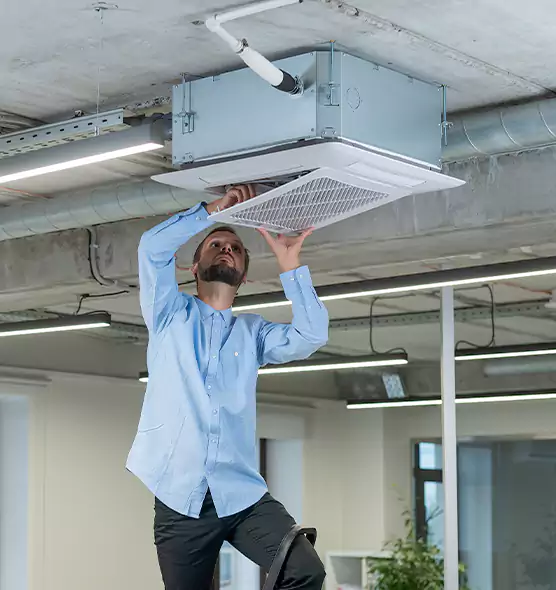 Advanced Rodent Droppings In Vents in Oregon, OH