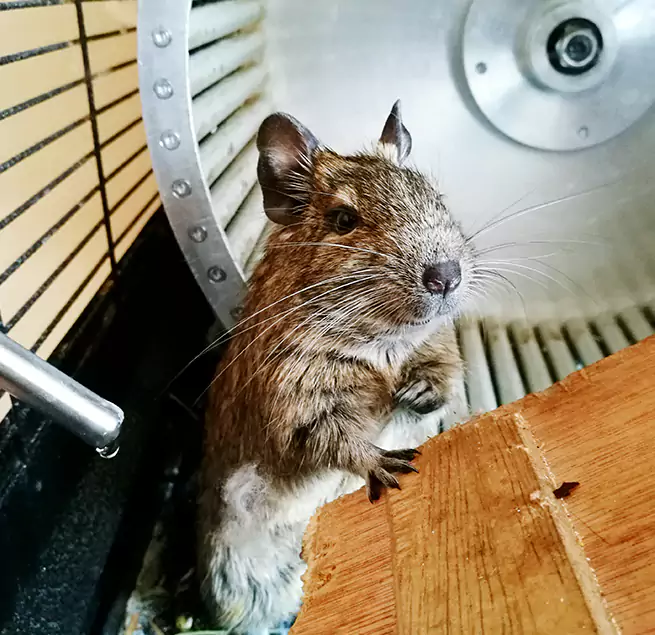 Why Homeowners & Businesses Trust Us Oregon, OH